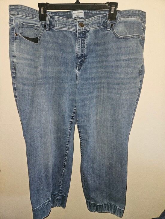 Lane Bryant Denim - Lane Bryant Womans Straight Blue Jeans 24S